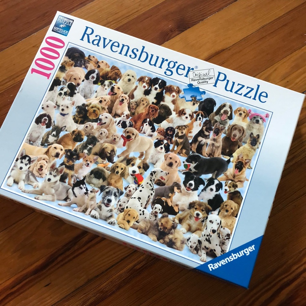 Ravensburger Puzzle 1000 pieces